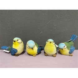 ***4/A Blue & yellow birds (L)